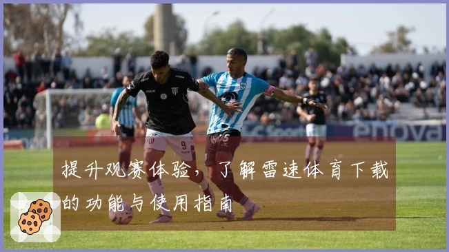 提升观赛体验，了解雷速体育下载的功能与使用指南